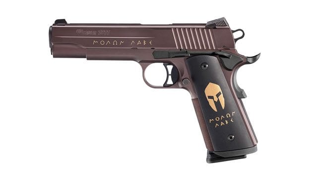 1911 45 SPARTAN LARGE