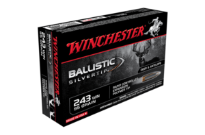 WINCHESTER BALLISTIC SILVER TIP 243WIN 95GR POLYMER TIP (20)