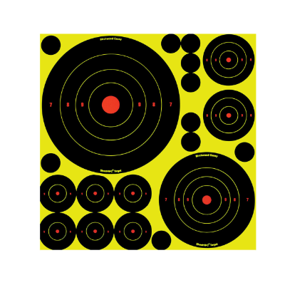 BIRCHWOOD CASEY Shoot N C Mix Large 5 Sheets