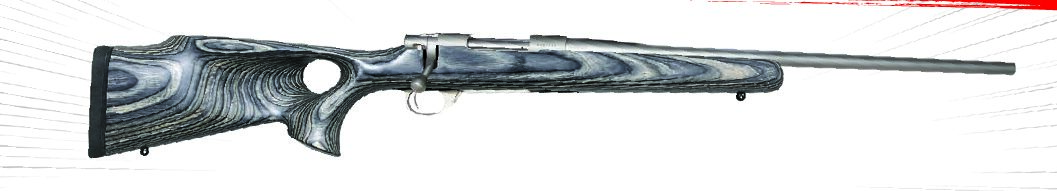 HOWA STAINLESS 223 REM RIFLE IN BOYD GREY LAMINATE THUMBHOLE STOCK SUPPLIED WITH PICATINNY RAIL